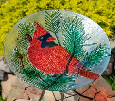 Garden & Outdoor